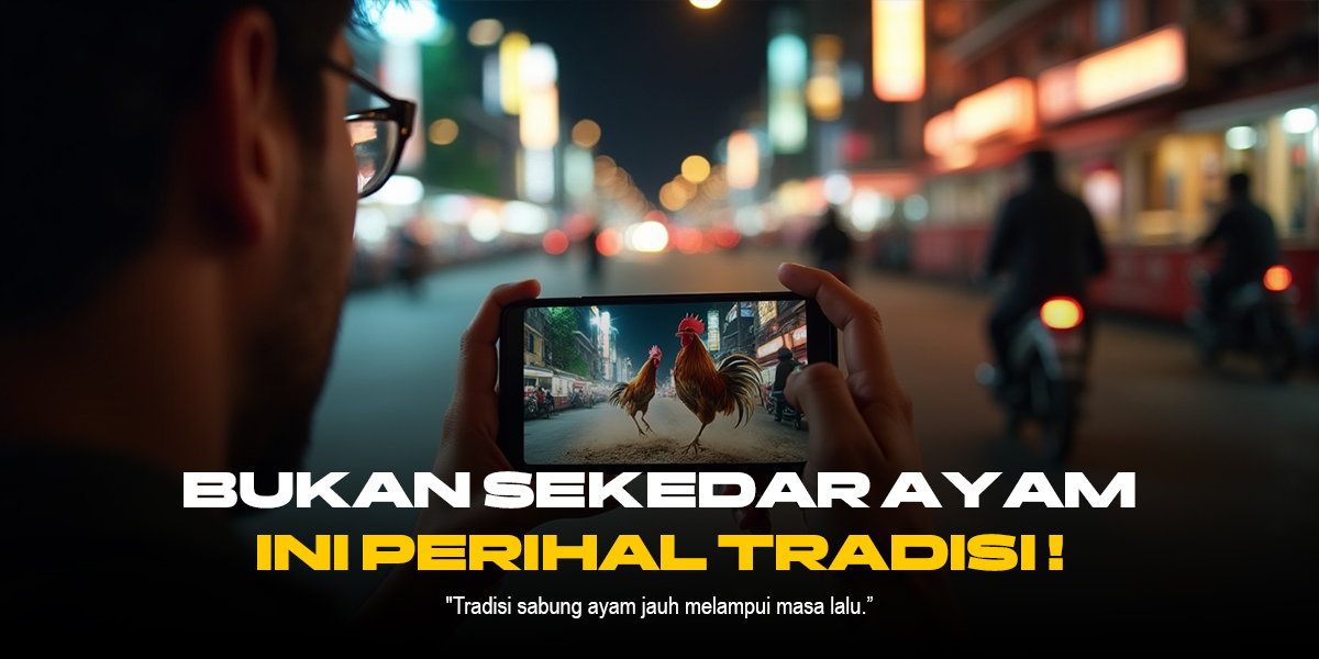 Mengenal Jenis Ayam Bangkok dalam Sabung Ayam SV388